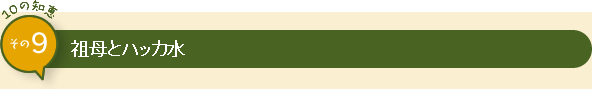10の知恵 その9 祖母とハッカ水