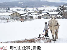 #03 馬の山仕事、馬搬