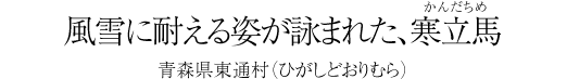 #12 歌に詠まれた、寒立馬 -青森県東通村（ひがしどおりむら）-