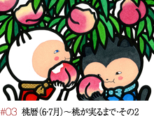 #03 桃暦（6・7月）～桃が実るまで・その2