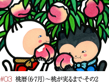 #03 桃暦(6・7月)~桃が実るまで・その2