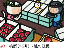 #04 桃暦（7・8月）～桃の収穫