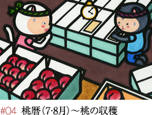 #04 桃暦(7・8月)~桃の収穫