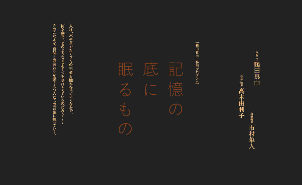 [鶴田真由 特別プログラム] 記憶の底に眠るもの